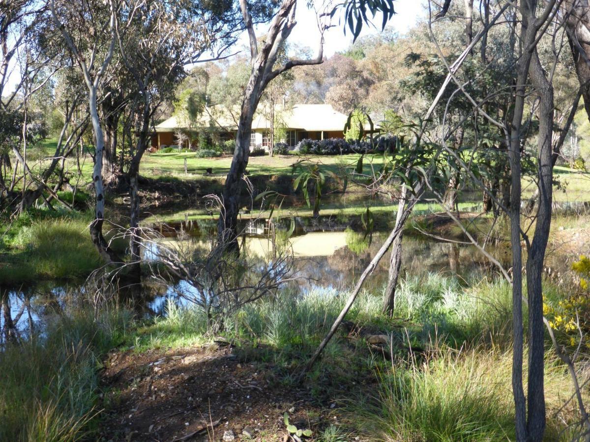 Wildwood Guesthouse Mudgee Eksteriør bilde
