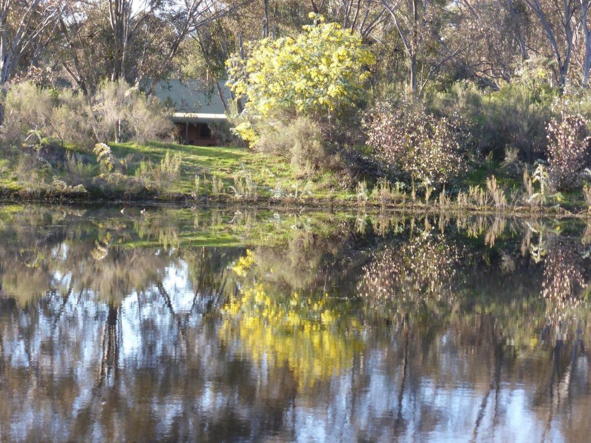 Wildwood Guesthouse Mudgee Eksteriør bilde