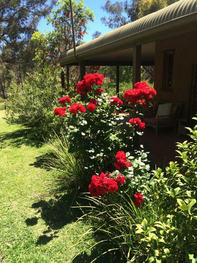 Wildwood Guesthouse Mudgee Eksteriør bilde